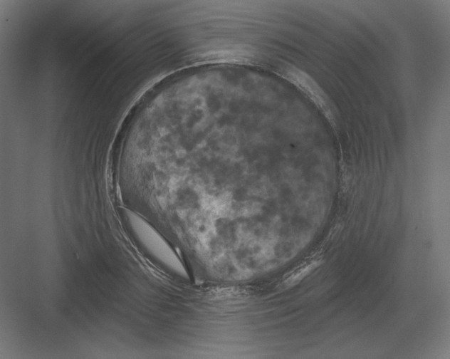 X0000082180883200702092306