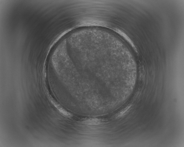 X0000082180885200702092306