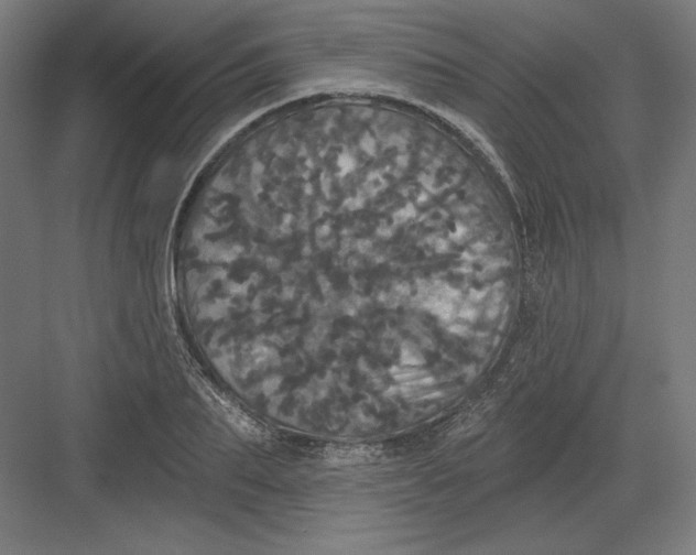 X0000082180887200702092306
