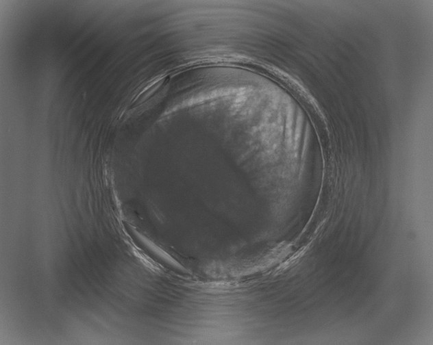 X0000082180889200702092306