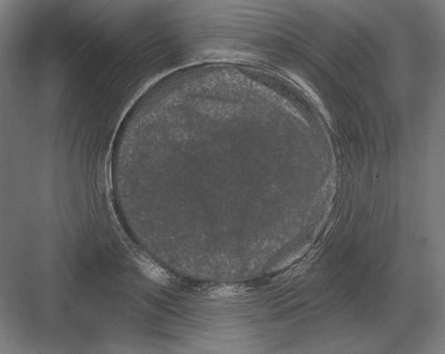 X0000082180891200702092306