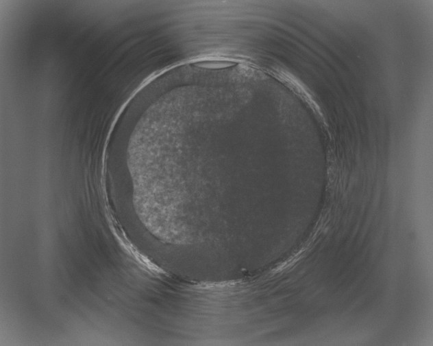 X0000082180892200702092306