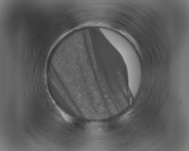 X0000082180894200702092306