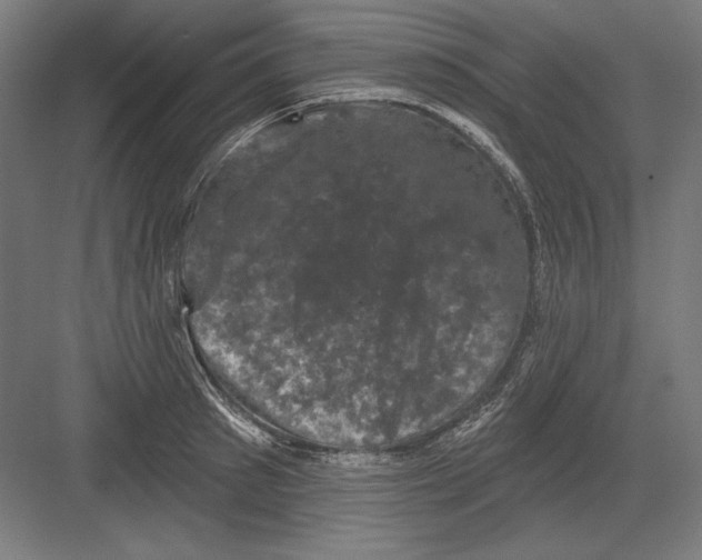 X0000082180897200702092306