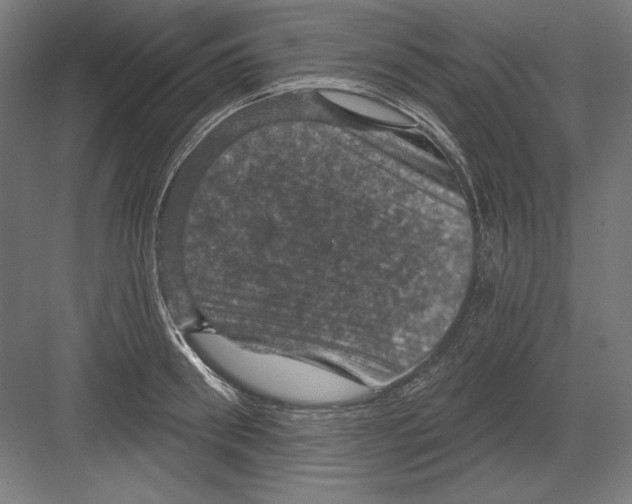 X0000082180898200702092306