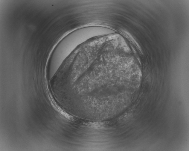 X0000082180900200702092306