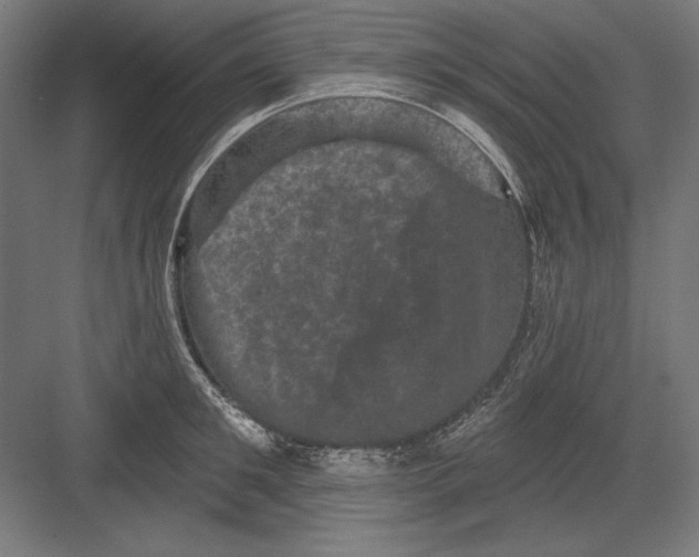 X0000082180901200702092306