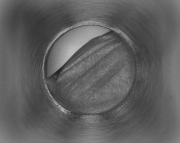 X0000082180902200702092306