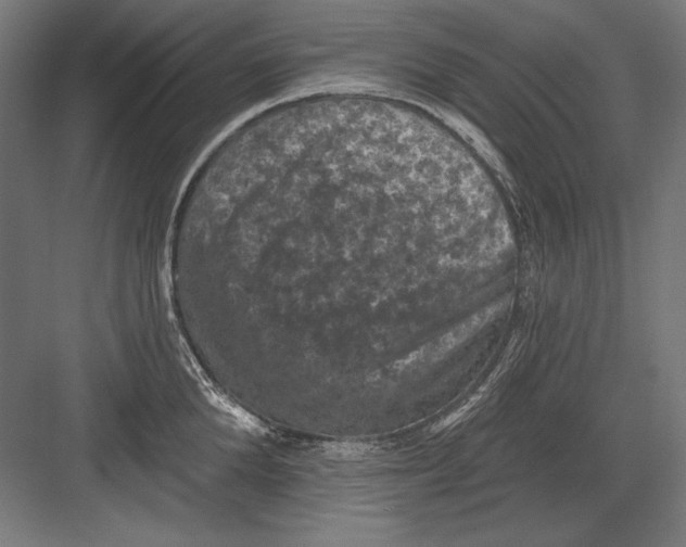 X0000082180904200702092306