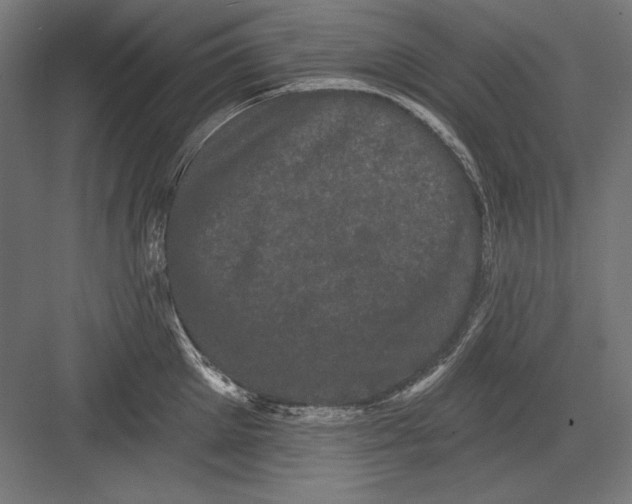 X0000082180905200702092306
