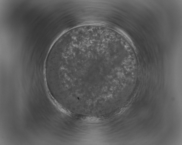 X0000082180907200702092306