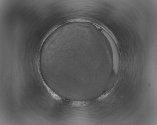 X0000082180909200702092306
