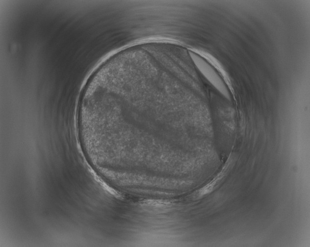 X0000082180910200702092306