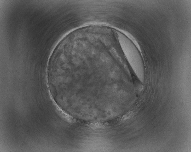 X0000082180911200702092306
