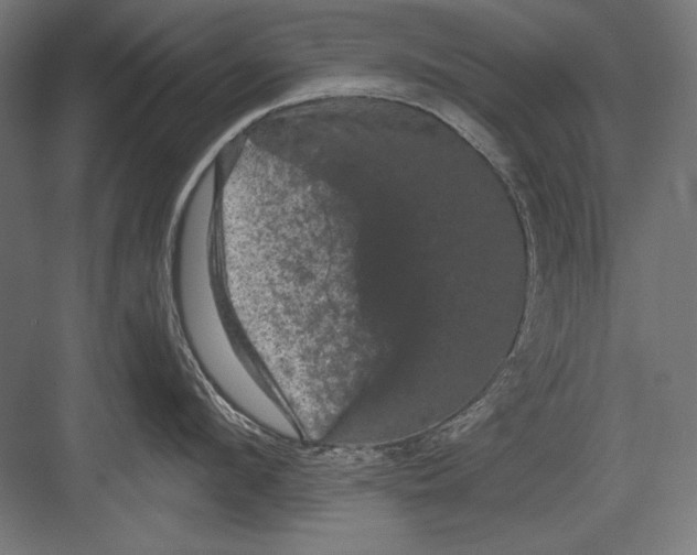 X0000082180912200702092306