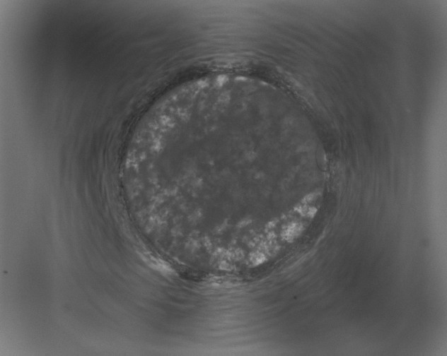 X0000082180913200702092305