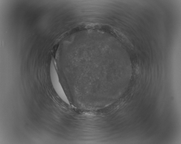 X0000082180914200702092305