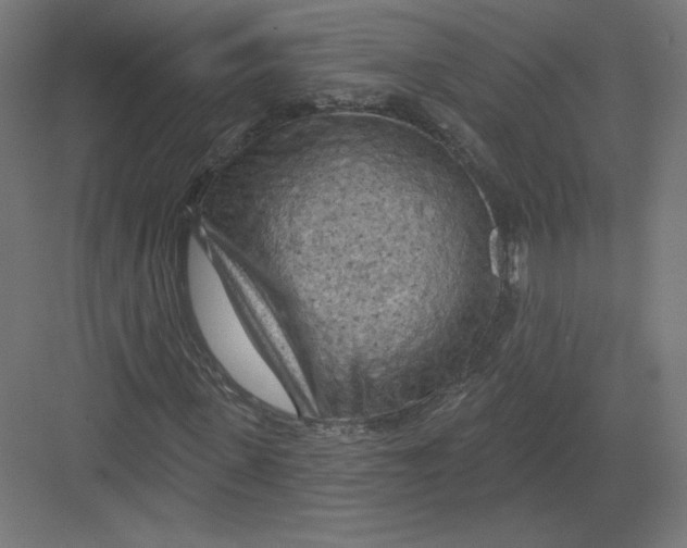 X0000082180915200702092305