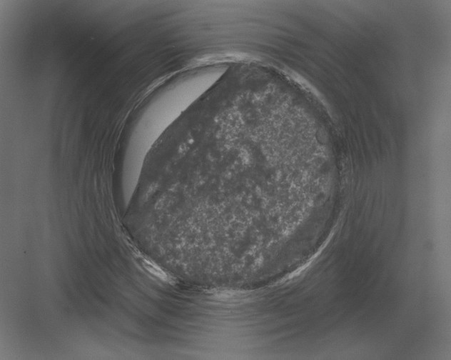 X0000082180921200702092305