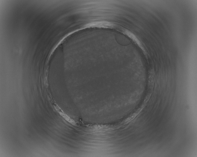 X0000082180923200702092305