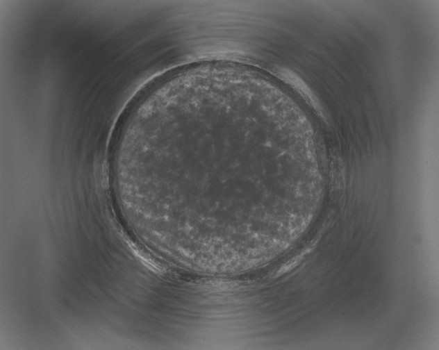 X0000082180924200702092305