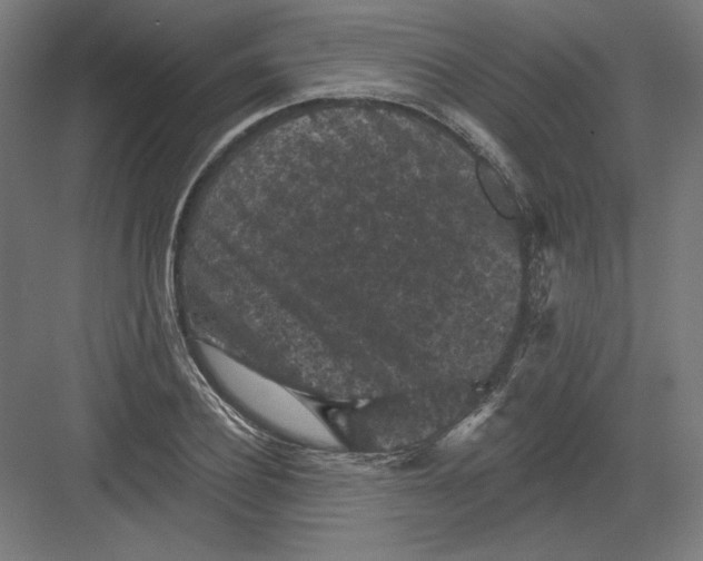 X0000082180932200702092306
