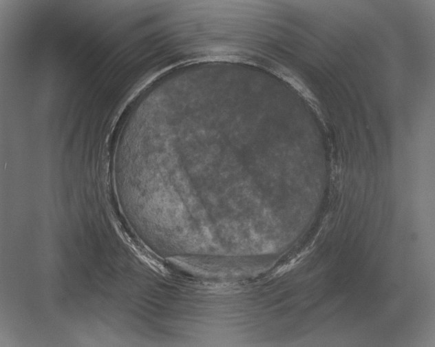 X0000082180933200702092306
