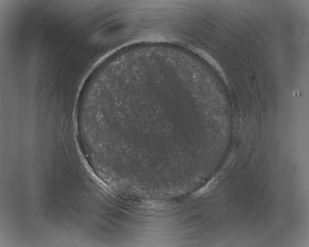 X0000082180935200702092306