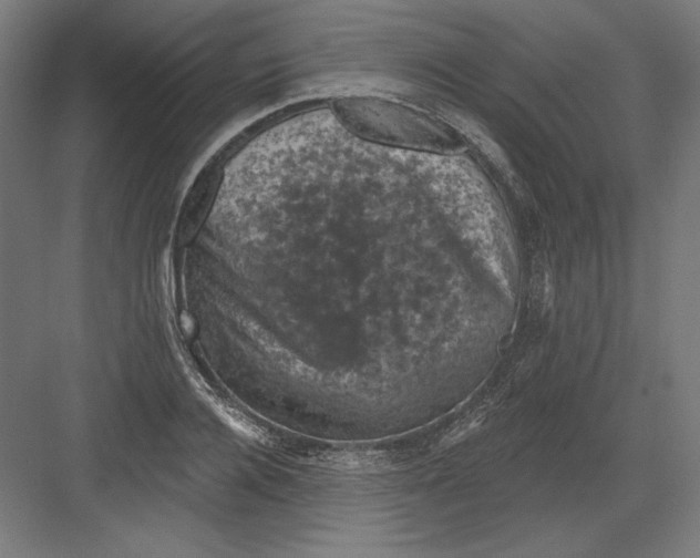 X0000082180936200702092306