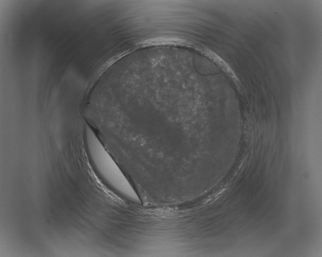 X0000082180937200702092306