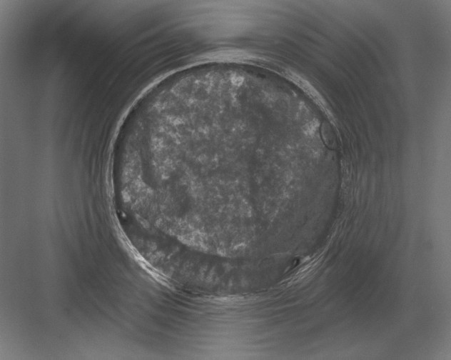 X0000082180939200702092306