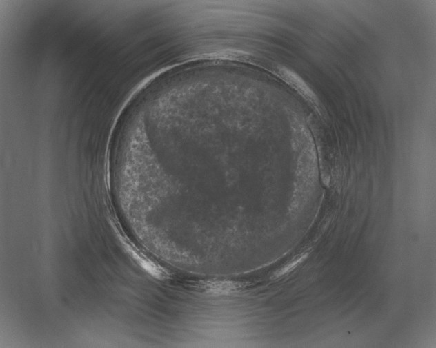 X0000082180940200702092306