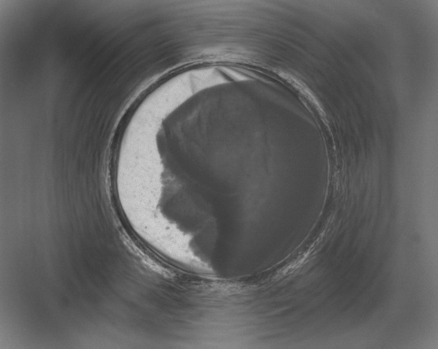 X0000082180941200702092306