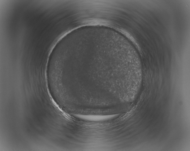 X0000082180943200702092306