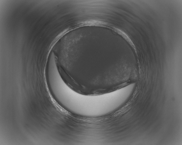 X0000082180946200702092306