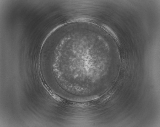 X0000082180948200702092306