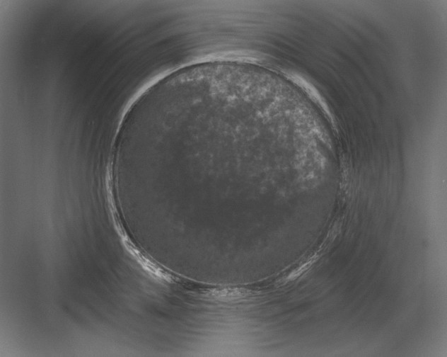 X0000082180952200702092306