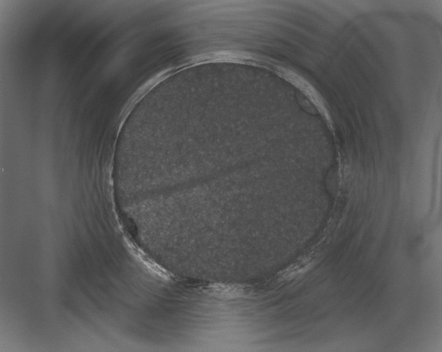 X0000082180954200702092306
