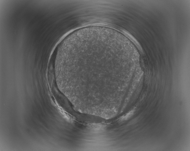 X0000082180956200702092306