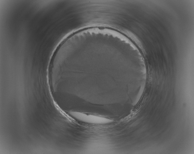 X0000082180958200702092306