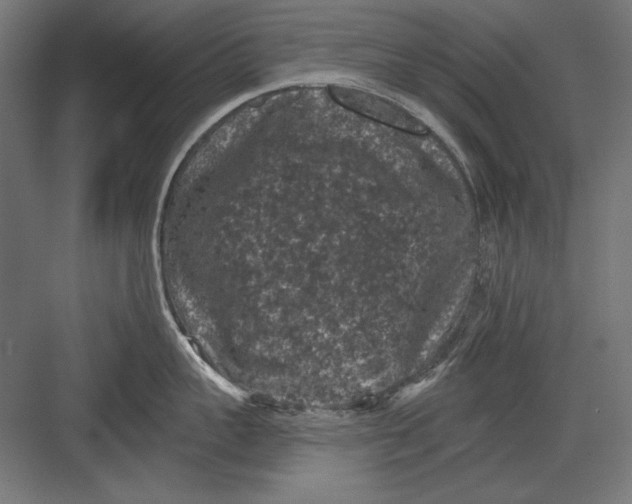 X0000082180959200702092306