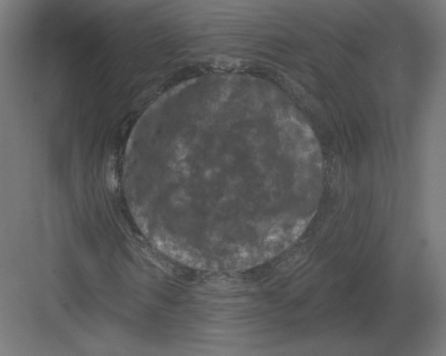 X0000082180962200702092305