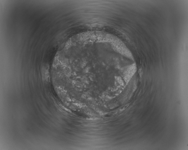 X0000082180963200702092305