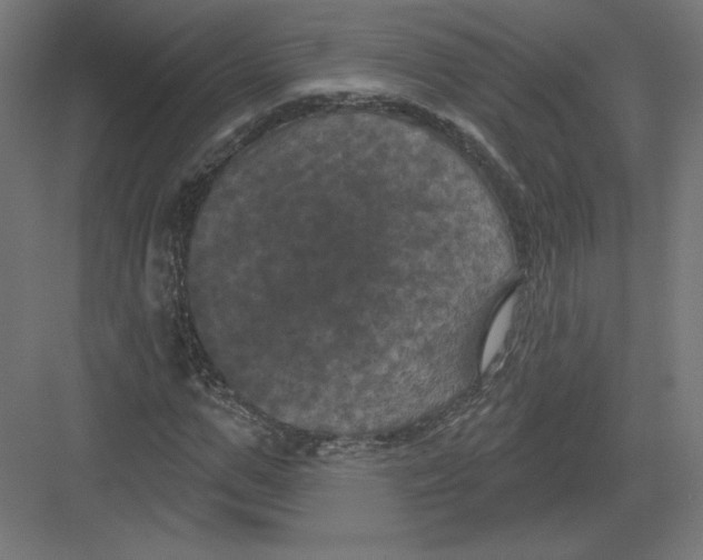 X0000082180967200702092305