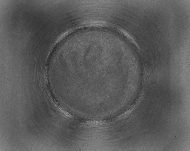 X0000082180970200702092305