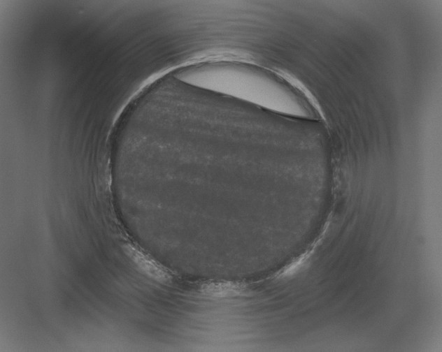 X0000082180973200702092305