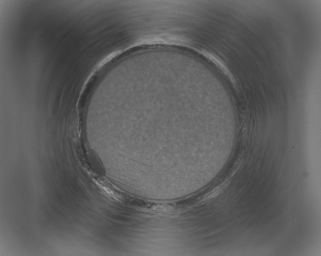 X0000082180974200702092305