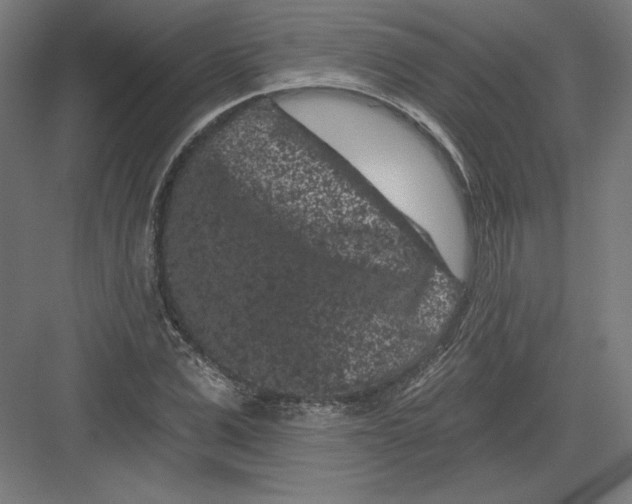 X0000082180975200702092305