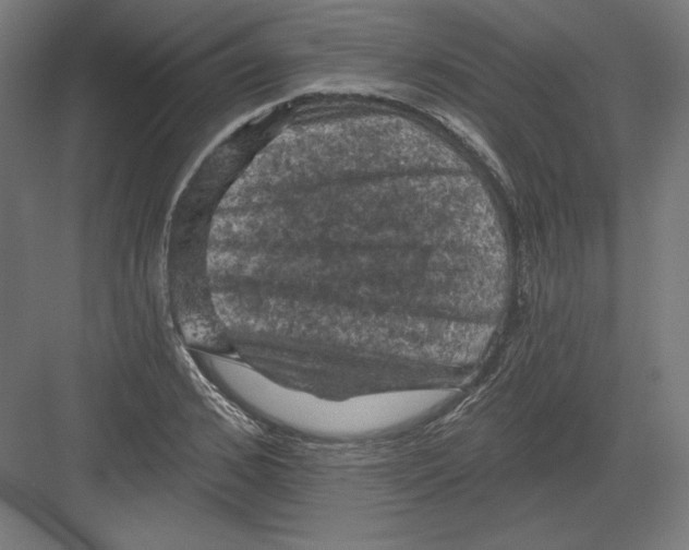 X0000082180976200702092305