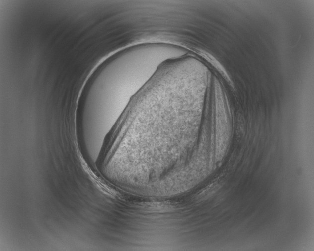 X0000082180980200702092305